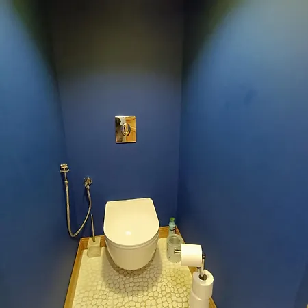 Grande Maison Familiale Proche De Lyon 7 Personnes Dommartin